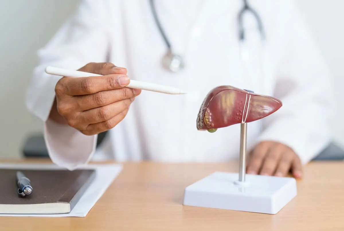 Liver Function Tests: What They Are, Why They Matter, and How They Work